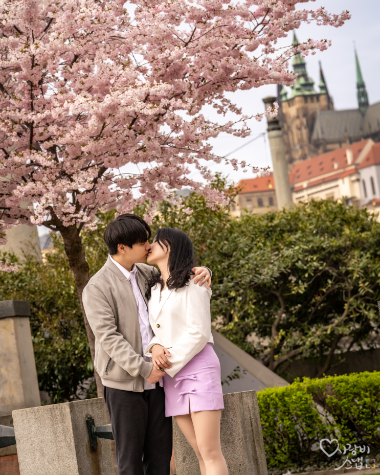 프라하 스냅: 4월 벚꽃과 함께! by 사랑비 호서