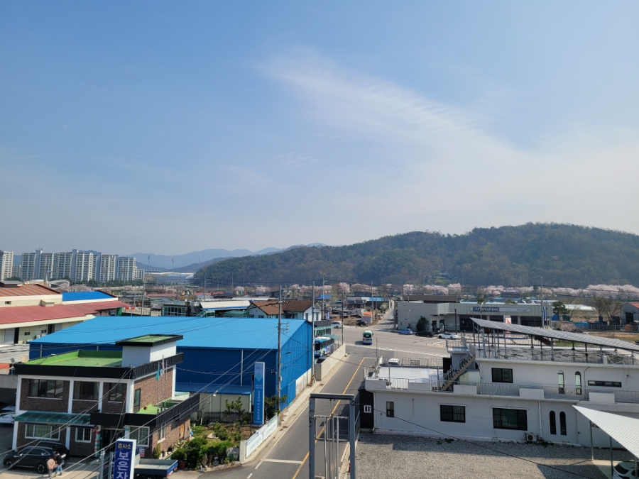 장원옻닭 사진 2