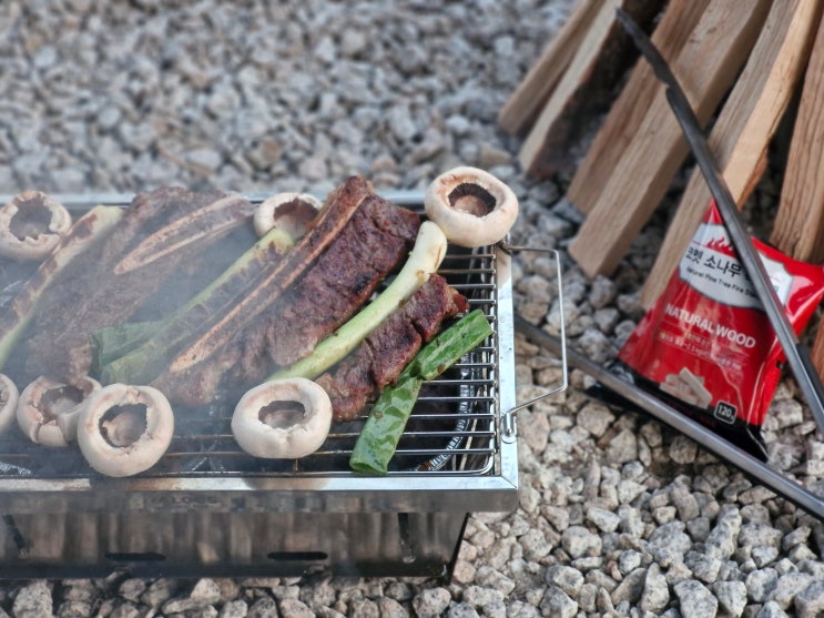  경기도 포천 도마치 캠핑장 벚꽃캠핑