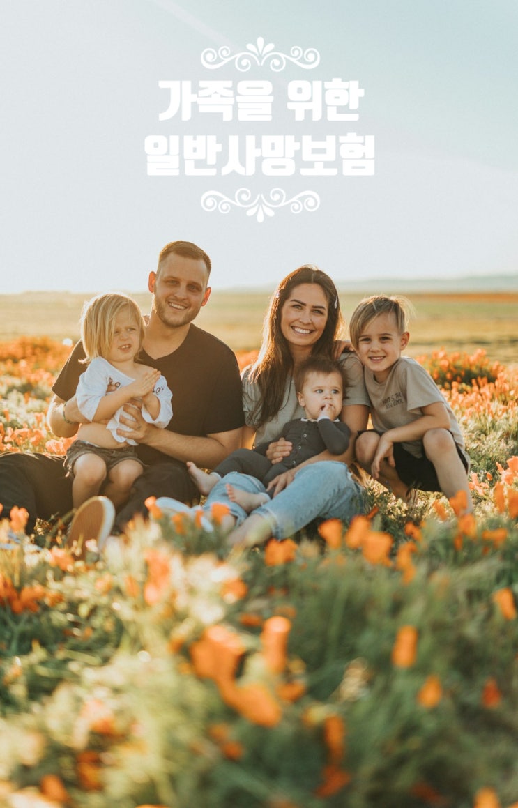  일반사망보험 종류 및 가격 비교 요령과 가입 전 주의할 사항들
