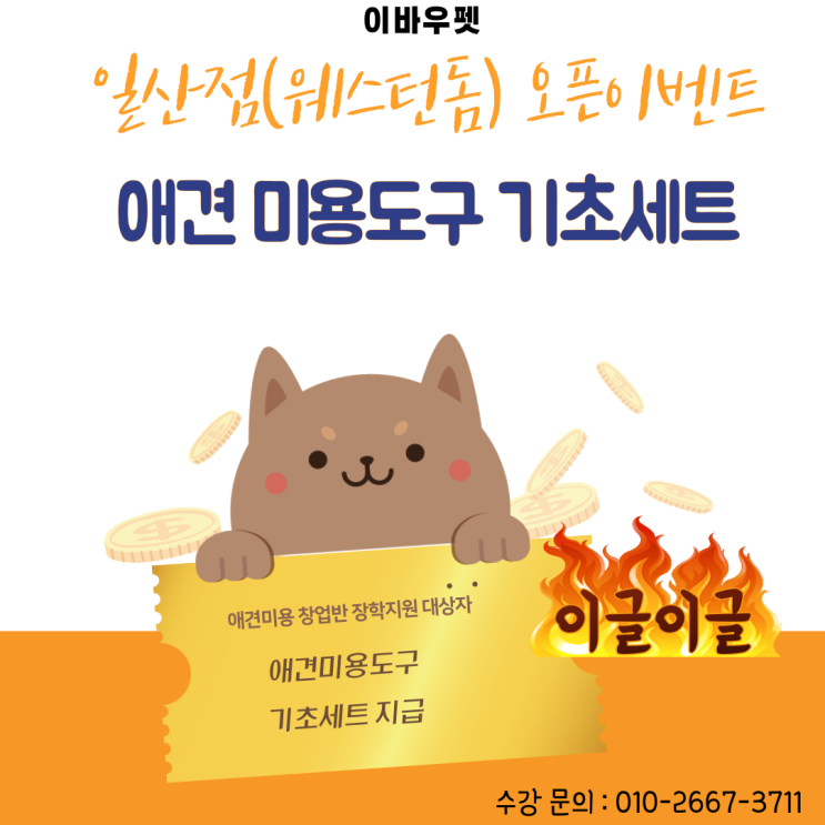  애견미용학원 이바우펫 자격증 취득 기간,비용 총정리