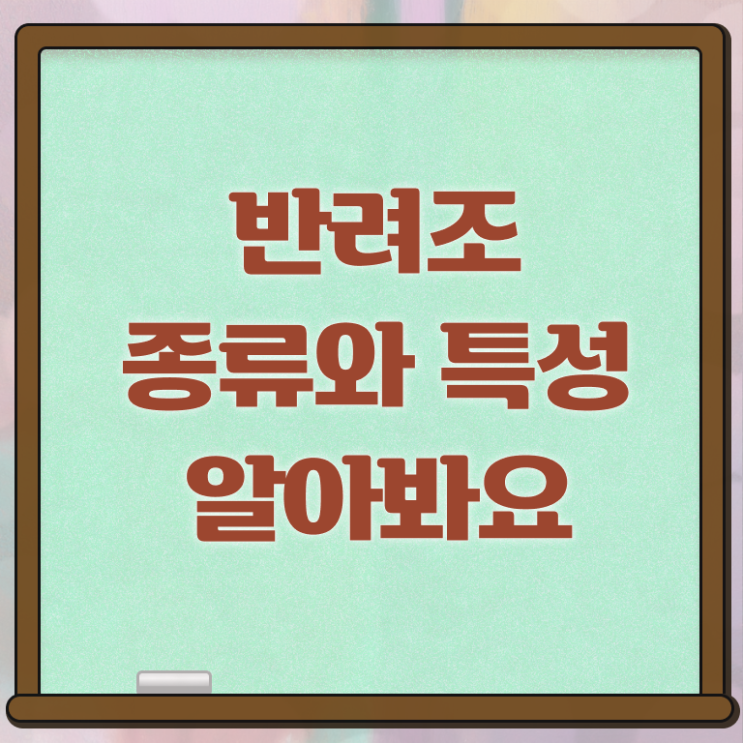  모란앵무 모프 , 반려조관리사 자격증 이후 전망과 취업 방법 알려드려요
