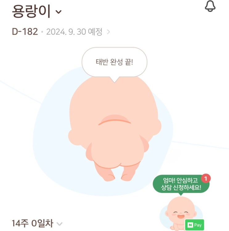 임신 14주차 | 4월 페넬로페 더퍼스트박스 신청 성공, 하이베베 심장소리 듣기, 태아보험 가입, 거북이우체통