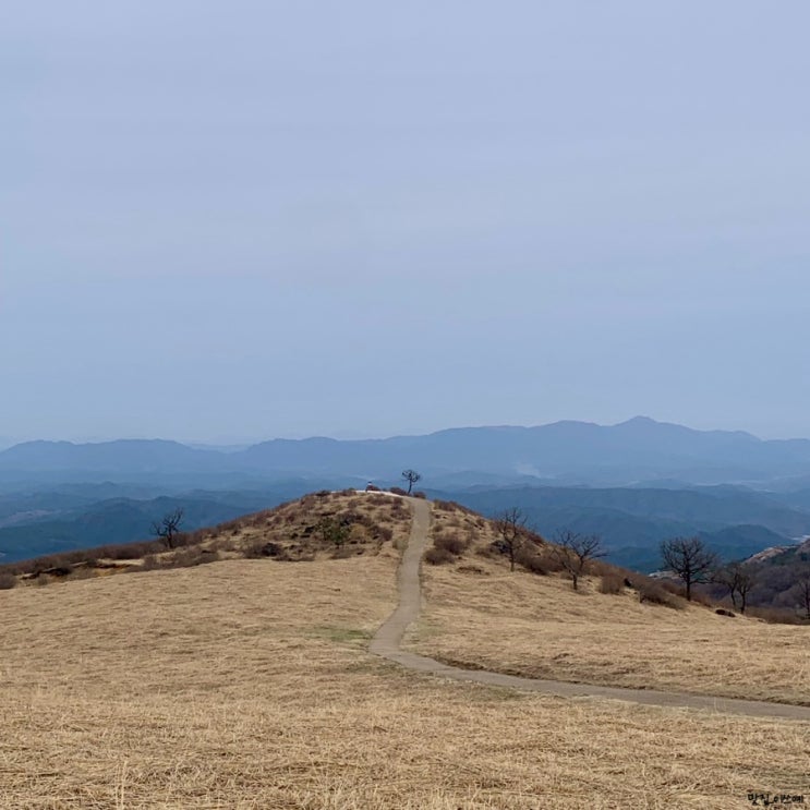  합천 황매산군립공원 철쭉제 시기 및 개화 현황