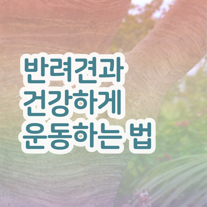  반려견운동지도사 무료 인강 , 반려견운동지도사 자격증 2주 만에 합격 비법 및 전망