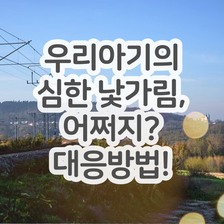  아동소통지도사 무료 강의 , 아동소통지도사 자격증 한달 만에 취득한 방법과 후기 및 전망