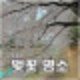 의정부 걷기좋은 벚꽃축제 명소 추천