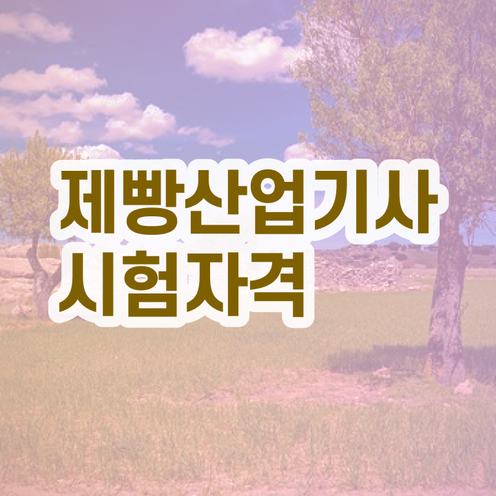  , 제빵산업기사 취득자격 대학진학, 경력없이 빠르게 갖추고 합격하려면