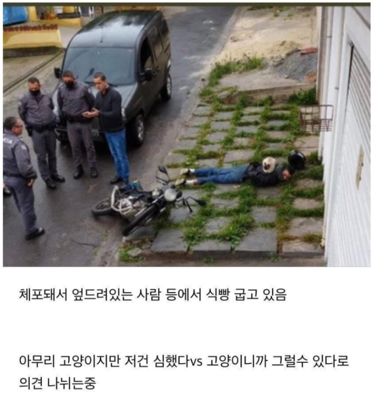 현재 해외에서 논란중인 사진