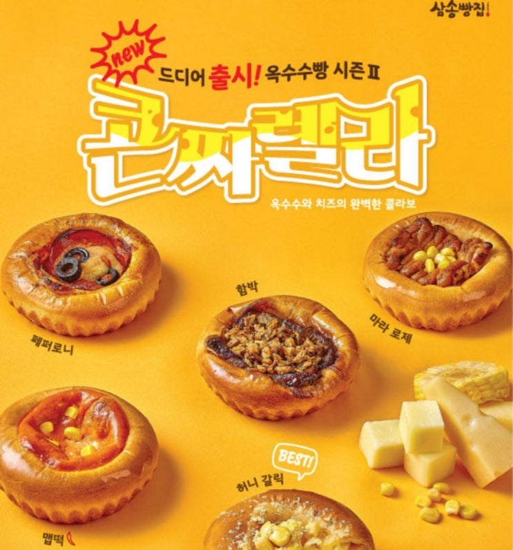  [대구 베이커리/동대구역 빵집]삼송빵집 신상 콘짜렐라 추천 종류, 가격, 후기