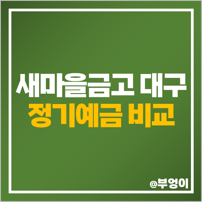 대구 새마을금고 정기예금 금리 비교 이자 높은 예금 특판 추천 대구 새마을금고 정기예금 금리 비교 이자 높은 예금 특판 추천