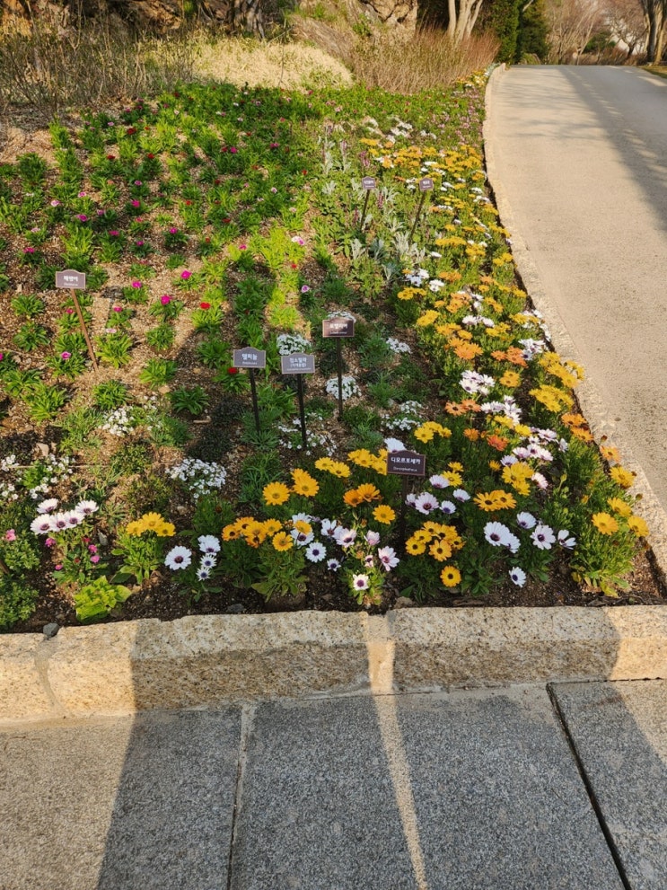  [여행기][경기광주] 사계절 취향껏 방문해, 화담!