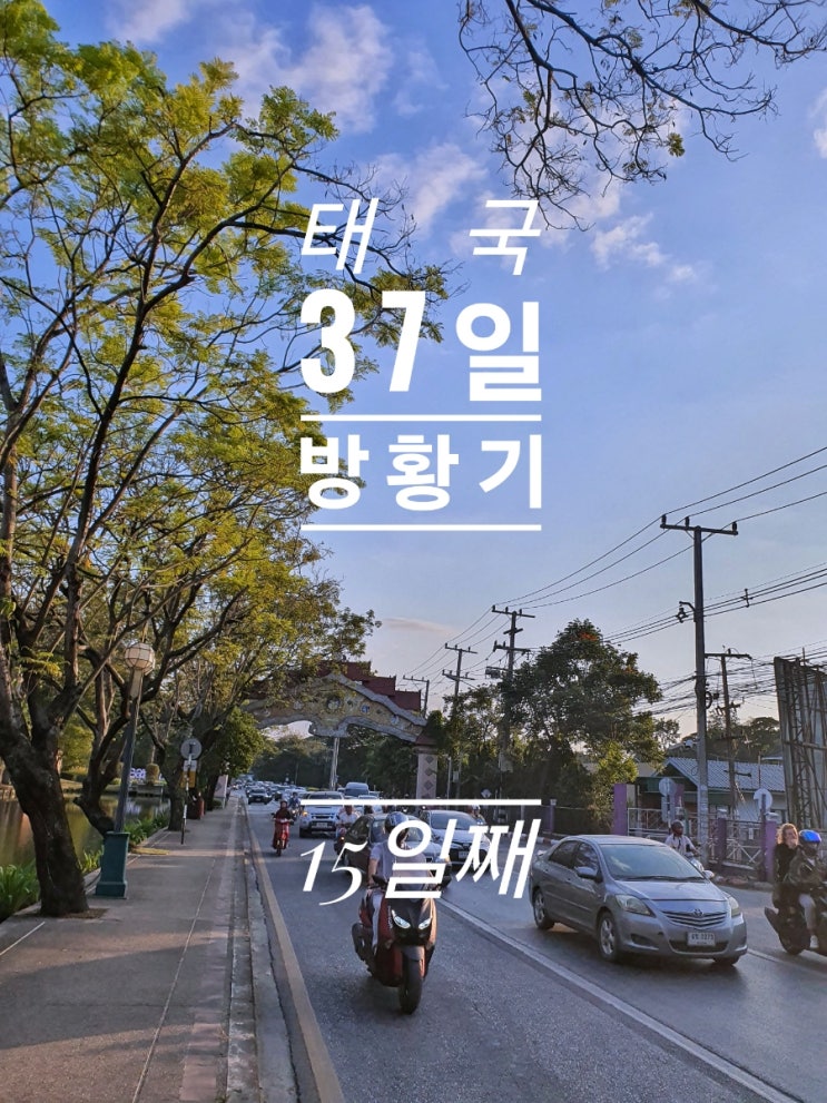  [태국 37일간의 방황기] 15일째 남문 시장 통란스하우스 Villa de Hun Sun Ray's cafe 자전거 대여 A Pond of Cupcake 카오 소이 님만 Newto