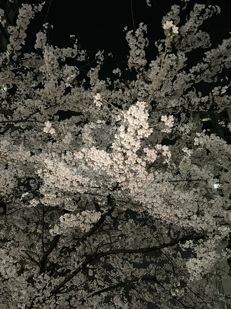  함부로 사랑한다고 외치면 유죄