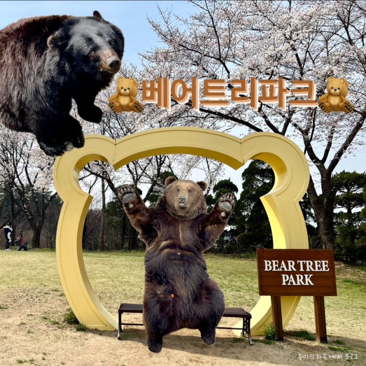  [세종] 베어트리파크 | 곰 테마파크 |  벚꽃놀이 | 봄나들이 | 동물원과 식물원이 함께