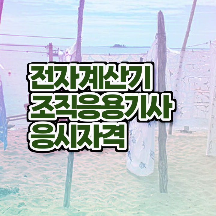  전자계산기조직응용기사 필기 시험 전자계산기조직응용기사 응시자격 완성하고 합격했던 팁