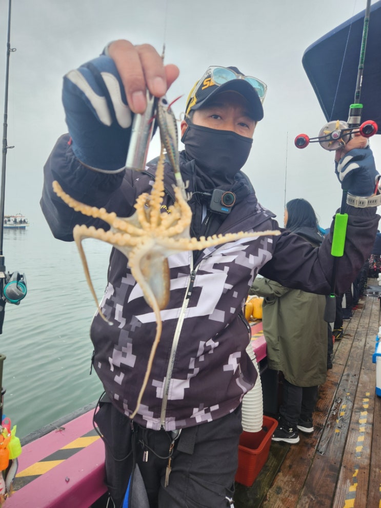  4월 서해 영흥도 만수피싱 만수호 쭈꾸미금어기전 봄 알쭈꾸미 낚시는 광어다운샷을 같이할수있는 변태채비 추천합니다