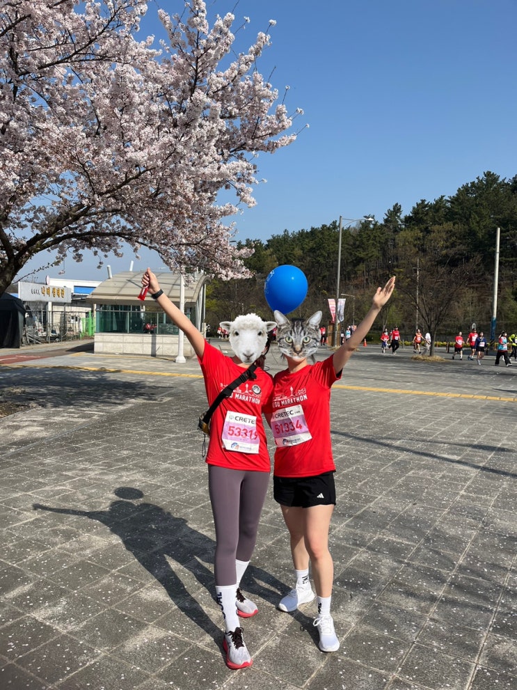  체력거지의 대구국제마라톤 완주일지