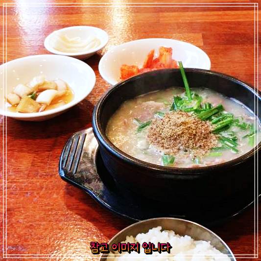  생방송투데이 마포 공덕 그레이스 국밥 외국인의밥상 국민 사위 크리스 1석3조 따로국밥 소개 해물부추전 순대국밥 돼지국밥 맛집 솔직 후기 및 리뷰