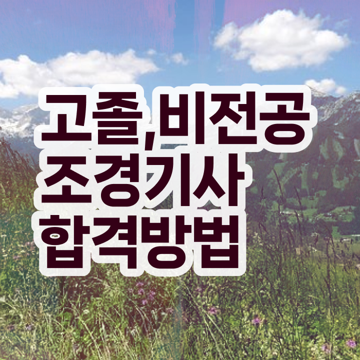  조경기사 제도판 , 조경기사 자격요건 무자격 비전공자도 갖췄던 과정