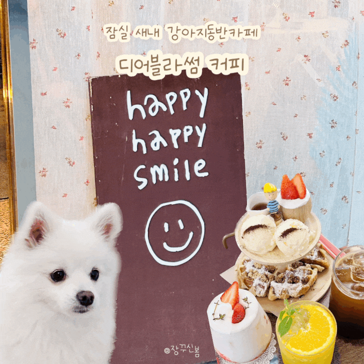  잠실새내 강아지 동반 감성카페 디어블라썸커피
