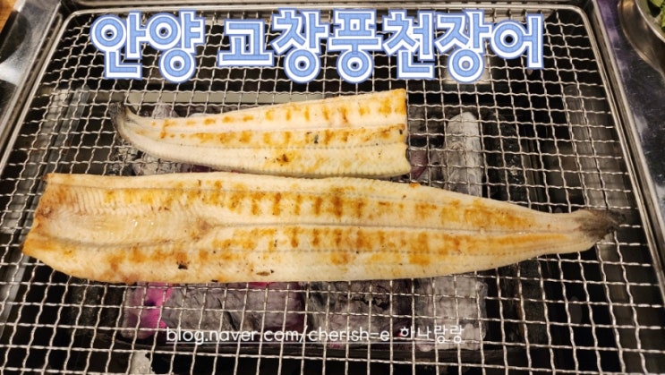  [경기 안양] 끝까지 장어 구워주는 평촌맛집 고창풍천장어