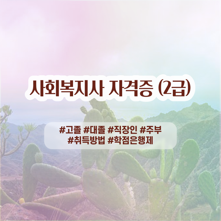  사회복지학과 대학 사회복지사 자격증 온라인 원격 평생교육원 통해서 학습 및 취득후기 취업 및 연봉 정보 정보 퍼펙트 요약