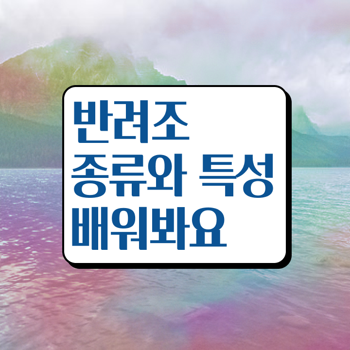  사랑앵무 키우기 , 반려조관리사 자격증 온라인으로 손쉽게 준비해서 합격한 후기 요점정리