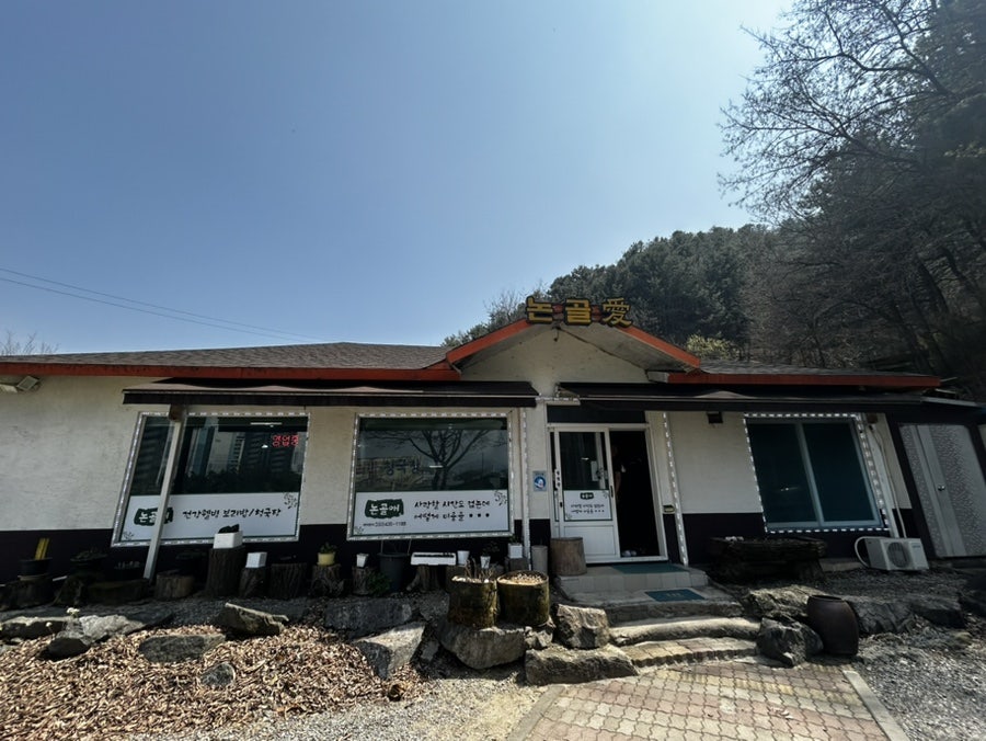 논골애 사진 2