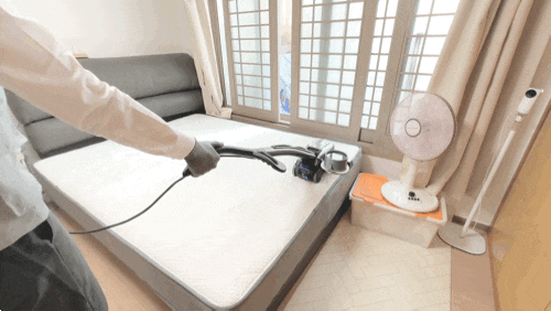  코웨이 홈케어닥터 아기키우는집 매트리스케어 진드기 벌레 제거 홈 클리닝