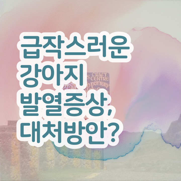  반려동물과 대학 , 반려동물관리사 자격증 온라인 단기로 학습 및 취득과정 및 취업, 연봉 정보