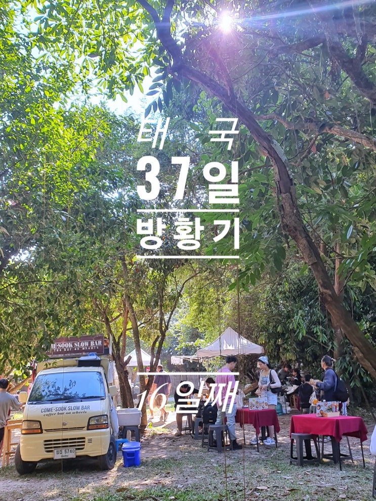  [태국 37일간의 방황기] 16일째 나나 정글 아침 시장 치앙마이대학교 토요 야시장