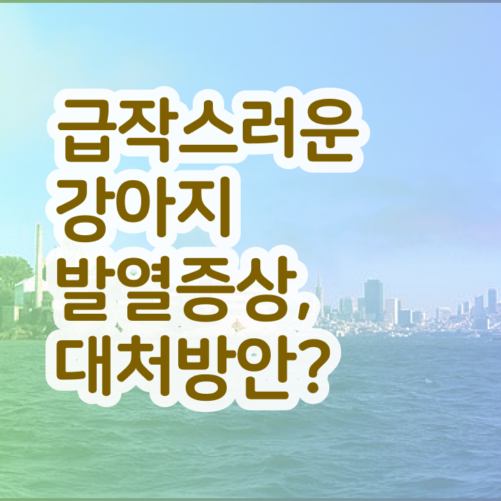  반려동물관리사 온라인 교육 , 반려동물관리사 자격증 합격 비법 여기만 보세요