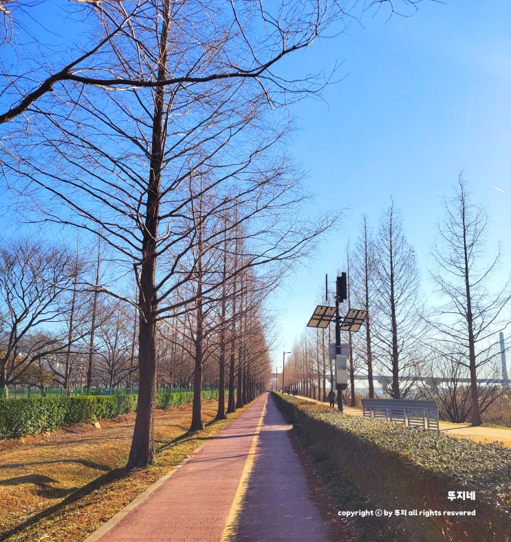  화명생태공원: 부산 자전거 대여소, 축구장, 산책로(feat. 화장실, 풋살장, 화명 운동장)