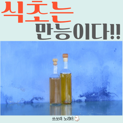  천연 세제인 식초로 셀프로 세탁기 내부청소하기 청소업체 필요없어요! 청소 노하우