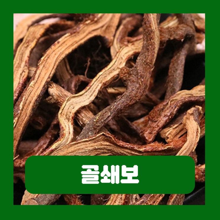  골쇄보의 성미와 효능 부작용 넉줄고사리 먹는법
