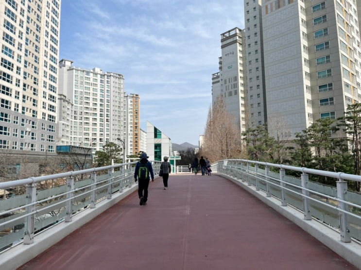  판교역에서 걸어서 GTX 성남역 가는 법! 판교 나들이공원 산책로 알아보기