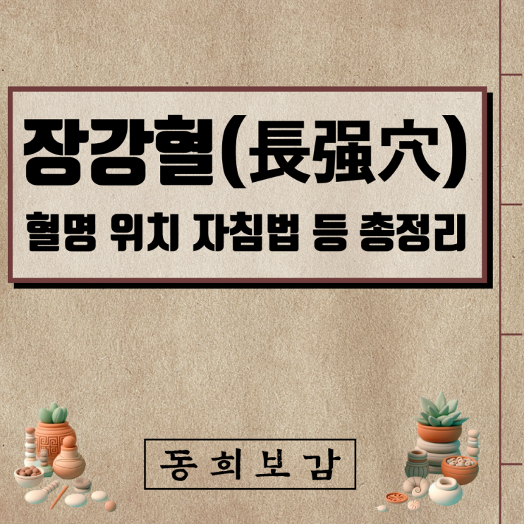  장강혈(長强穴), 소속경맥 혈명 위치 특성 자침법 등 총정리