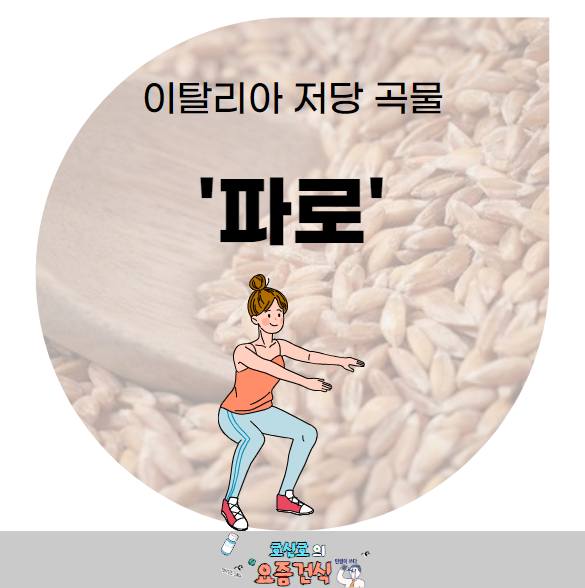  이탈리아 저당 곡물 파로 효능 부작용
