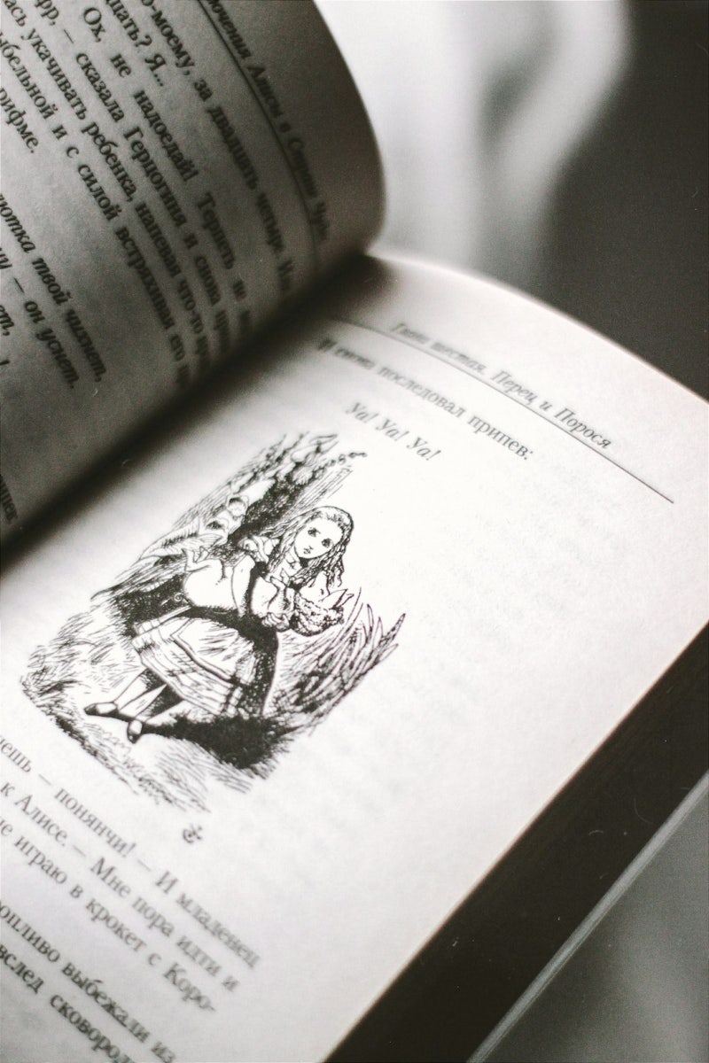 불변의 법칙(구절판) 모건 하우절 : 네이버 블로그, image size:800x1200