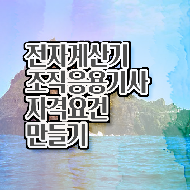  전자계산기조직응용기사 준비물 전자계산기조직응용기사 취득자격 끝낼수 있었던 구체적인 방법