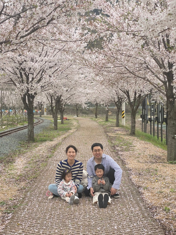 대구 근교 아이들과 함께 벚꽃을 보러가기 좋았던 청도레일바이크.