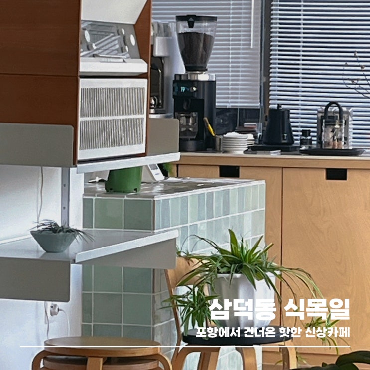  대구 반려동물 동반 가능한 신상 카페, 삼덕동 식목일