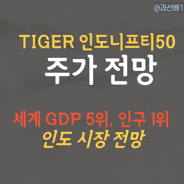  TIGER 인도니프티50 ETF 비교와 주가 전망