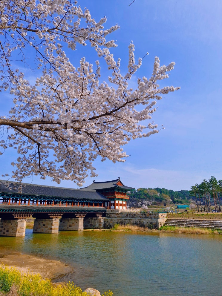  경주 뚜벅이 당일치기 여행코스 추천 : 대릉원 돌담길부터 황리단길, 교촌한옥마을 투어후기