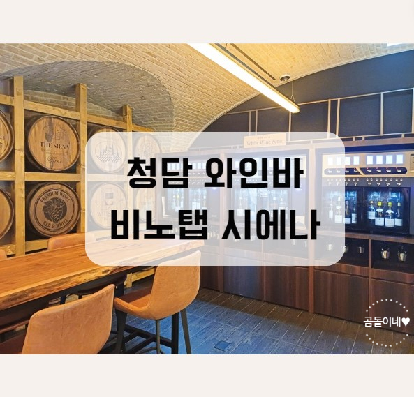  압구정 로데오역 와인 맛집 비노탭시에나 방문 후기/와인탭 이벤트 기간