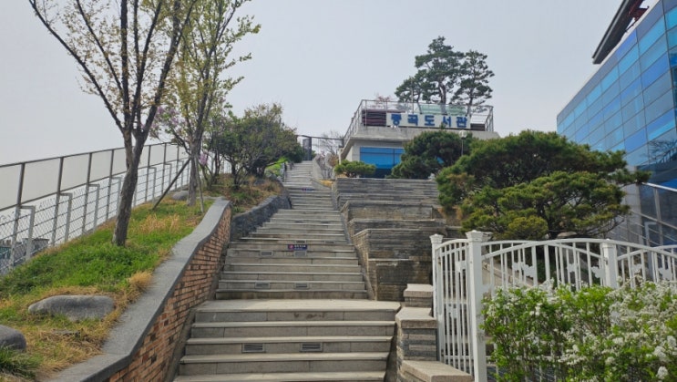  중곡문화 체육센터 도서관/중곡문화 체육센터 봄 학기 프로그램