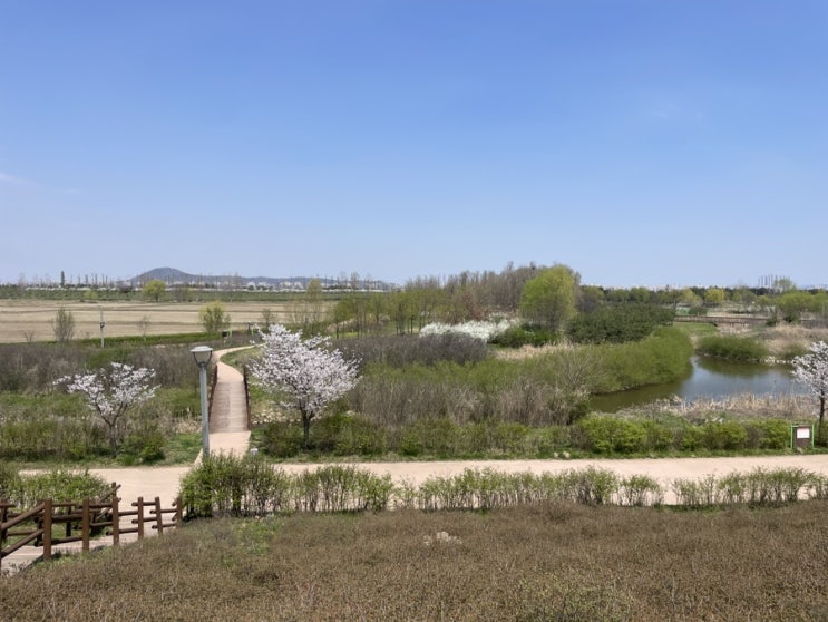 김포 산책하기 좋은 곳 김포 한강 야생조류생태공원