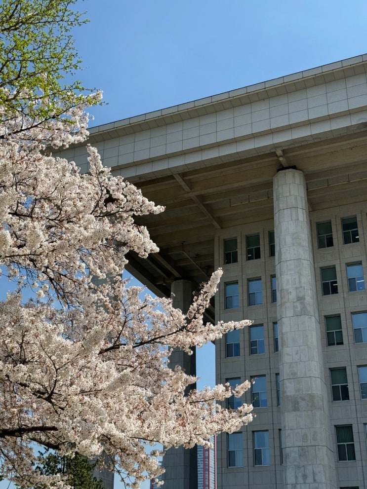  업무용승용차 상여처분, 대표자상여