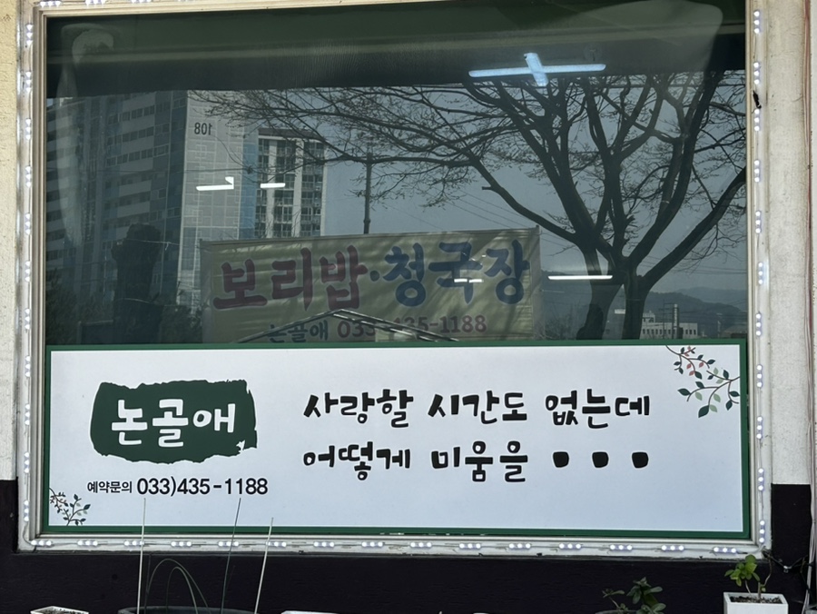논골애 사진 4